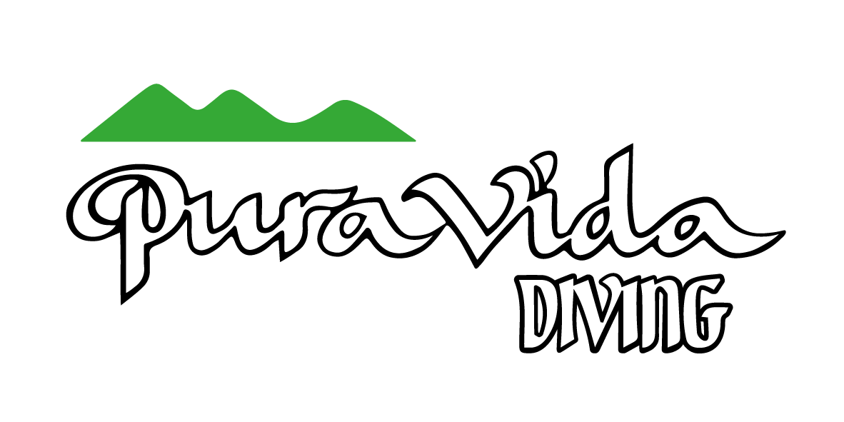 Pura vida diving Logo
