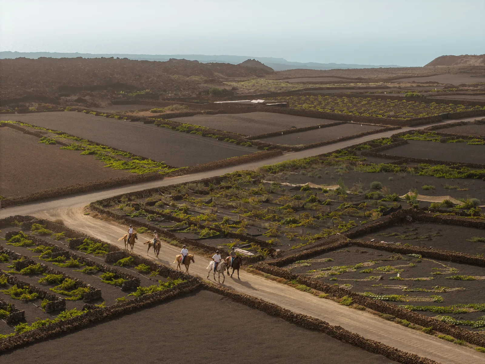 Aerial view of riders across inland Lanzarote